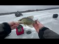 early ice crappie action