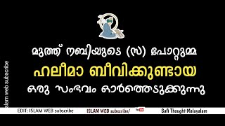 നബി (സ) യുടെ പോറ്റുമ്മ ഹലീമാ ബീവിക്കുണ്ടായ ഒരു സംഭവം ഓർത്തെടുക്കുന്നു | muth nabi | islamic speech