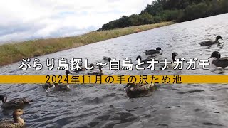 2024年11月の手の沢ため池