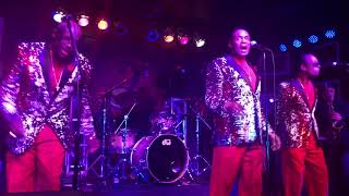 Larry Johnson‘s Essence of Motown performing My Girl at the funky biscuit