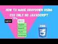 How To Make Dropdown Using CSS only No JavaScript | NSCODE