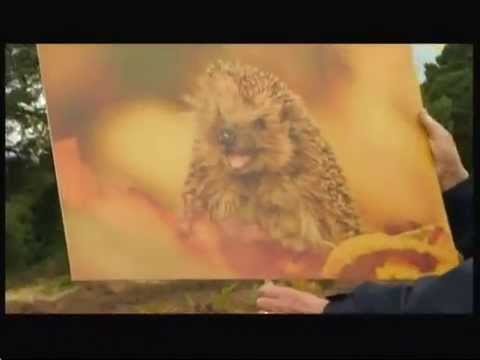 Countryfile - Calendar (2016) Cover winner - 4th October 2015 Countryfile - Calendar (2016) Cover winner - 4th October 2015