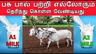 A1 MILK Vs A2 MILK | பசு பால் பற்றி எல்லோரும்  தெரிந்து கொள்ள வேண்டியது | WHY A2 MILK IS GOOD?