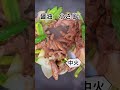 牛肉と野菜のガーリックオイスター炒めの作り方