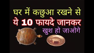 घर में कछुए की प्रतिमा रखने से 10 ऐसे फायदे जानकर आपको बहुत खुशी होगी tortoise benefits