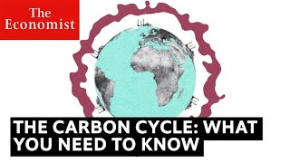 The carbon cycle is key to understanding climate change