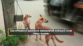 കോഴിക്കോട് മലയോര മേഖലകളിൽ തെരുവ് നായ ശല്യം അതിരൂക്ഷം