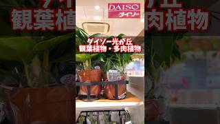 【百均】続・ダイソーの観葉植物・多肉植物 #045  #shorts Succulent 다육 식물