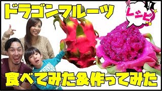 【作ってみた】ドラゴンフルーツ食べてみた！美味しい食べ方オススメのソルベ【Dragon Fruites!】