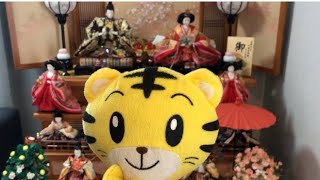 しまじろうと雛人形を飾ったよ★5段かざり★Japanese Traditional Dolls★