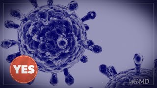 The Truth About the Flu | WebMD