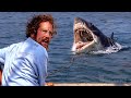 "I think he comes back for feeding" | Jaws | CLIP