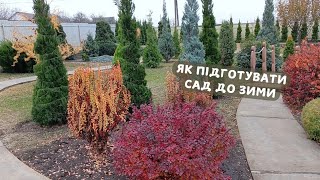 16.11.2024 р. ВСТИГНІТЬ, ще не пізно! ОСНОВНІ Роботи в саду.