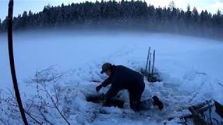 Under Ice Beaver Trapping: Sets and Catch