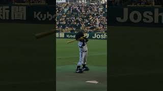 2014.9.11 トラッキースタメンものまね　甲子園球場　伝統の一戦　読売巨人戦