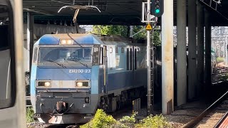 【被った😢】JR貨物EH200形23号機＋タキ12B（両）が新川崎駅を通過するシーン（臨8092レ・高A225・石油返空）2024.9.9