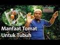 Manfaat Tomat Untuk Kesehatan - Ustadz Febri Sugianto