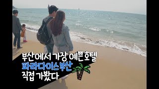 부산에서 가장 예쁜 호텔 파라다이스 부산 직접 가봤다! _ Daily Travel