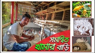 কবুতর,খরগোশ এবং অস্ট্রেলিয়ান পাখি নিয়ে নিজ বাড়ি একটি সম্বিত খামার