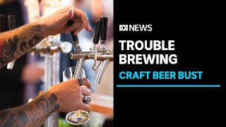 Why are Australian craft beer breweries struggling to stay afloat? | ABC News