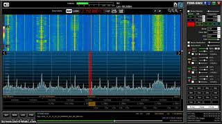 MW DX: Radio Free Korea 1143 kHz received in Germany