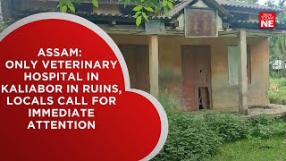 Assam: Only veterinary hospital in Kaliabor in ruins, locals call for immediate attention