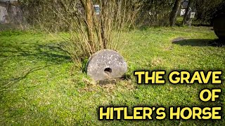 The Grave of Hitler's Horse in Louisiana #shorts