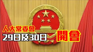 人大常委會29日及30日開會 修改基本法附件