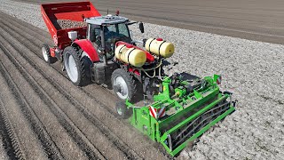 *NEW* Massey Ferguson 7S190 | Potato planting 2022 | AVR MultiForce \u0026 Dewulf MS 4000