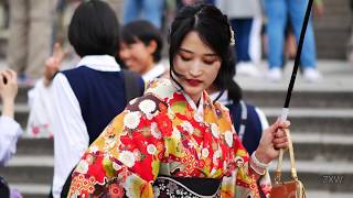 日本遊02 - 京都清水寺樱花美景 - 清水坂 - 八坂神社 - 祇園花見小路 - 拉面小路 - Kiyomizu-dera, Kyoto