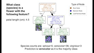 Understanding Decision Trees using Python (scikit-learn)