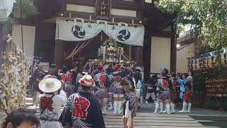 川崎山王祭　稲毛神社　令和元年　町内みこし連合渡御　宮入　宮前町　2019/8/3 Kawasaki Sanno festival 49