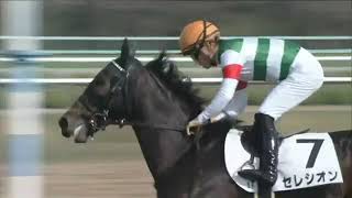 2021.11.21 2yo Newcomer (JPN) - Seleccion