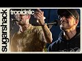 Tropidelic - Sugarshack Pop-Up Full Set (Live Music) - Sugarshack Sessions