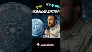 리플 시바이누 에이다 세개중 가장 크게 오를 코인은?? #불장 #비트코인  #bitcoin