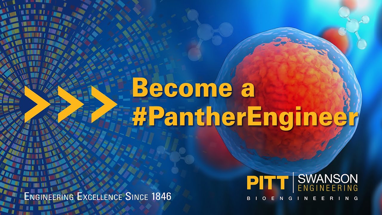 Bioengineering Graduate Program @ Pitt - YouTube