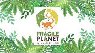 Fragile Planet Wildlife Park Visit