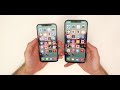 iPhone 12 Pro vs 12 Pro Max After 2 Weeks - Don’t be like me