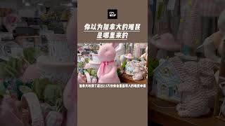 加拿大难民申请都是哪里来的 #加拿大 #加拿大移民 #温尼伯 #难民