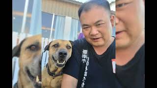 徐園長護生園  邀請您捐助貓狗飼料罐頭，幫助園區四千五百多個毛小孩共渡寒冬