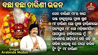 Seta Tarini Maa Ra - Other Superhit Tarini Bhajans | Arabinda Muduli | ସେତ ତାରିଣୀ ମା'ର ବାଘ