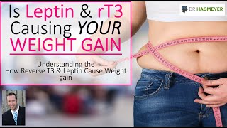Trouble losing weight? It could be Your Leptin and Reverse T3 levels.