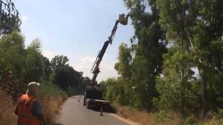 מסור סטיל  201TC בעבודות גיזום בגובה- 201TC STIHL CHAINSAW AT WORK