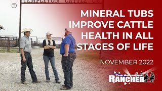 Mineral Supplement Tubs Improve Cattle Health in All Stages of Life | The American Rancher