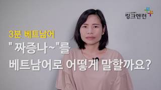 3분 베트남어_짜증나