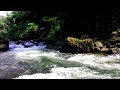 relaxing water sounds for forget stress gentle stream sounds with birds chirping calming asmr