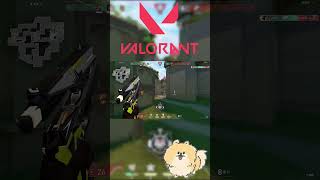 プライムクラシックだから当たったのかも【VALORANT】#Shorts