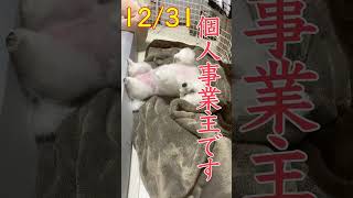 電験で独立したよ　69日目　#shorts