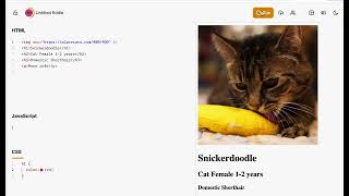 HTML and CSS basics using JSFiddle