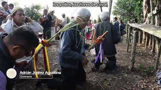 Tlahpalolli ipan xochikalpan / Ritual de agradecimiento